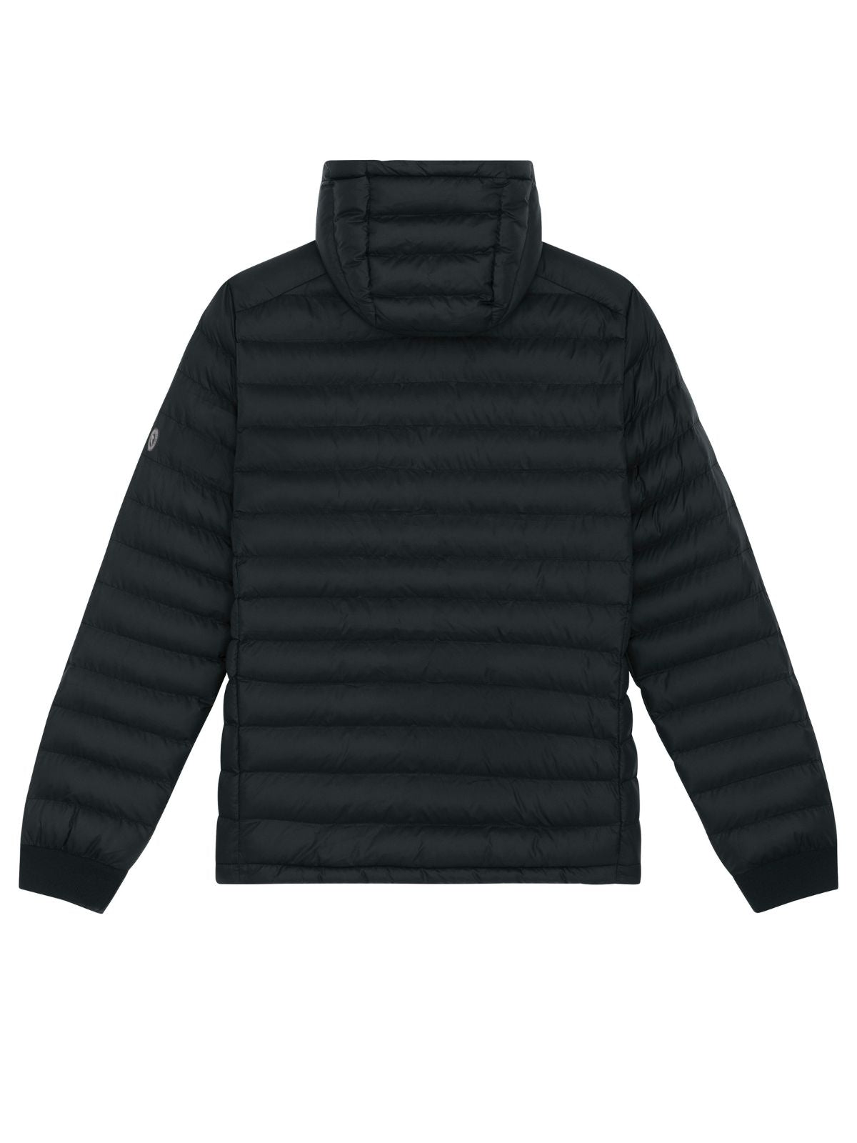 Herren Steppjacke Black